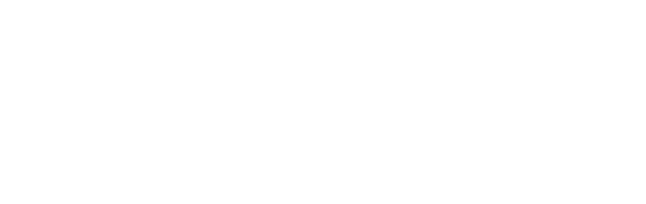 entrepreneurial mindset